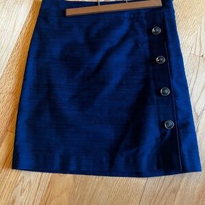 Any Taylor Navy Skirt